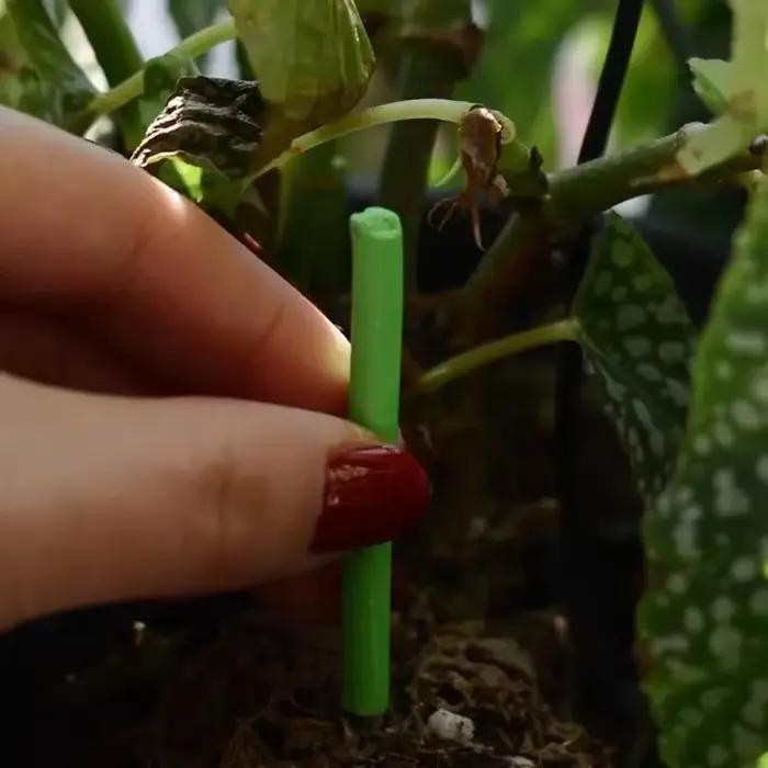Barres nutritionnelles pour plantes