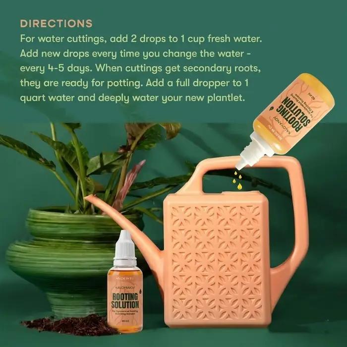 Root Drops Hormone d'enracinement liquide pour les boutures | Gouttes de propagation rapide pour tous les Pothos