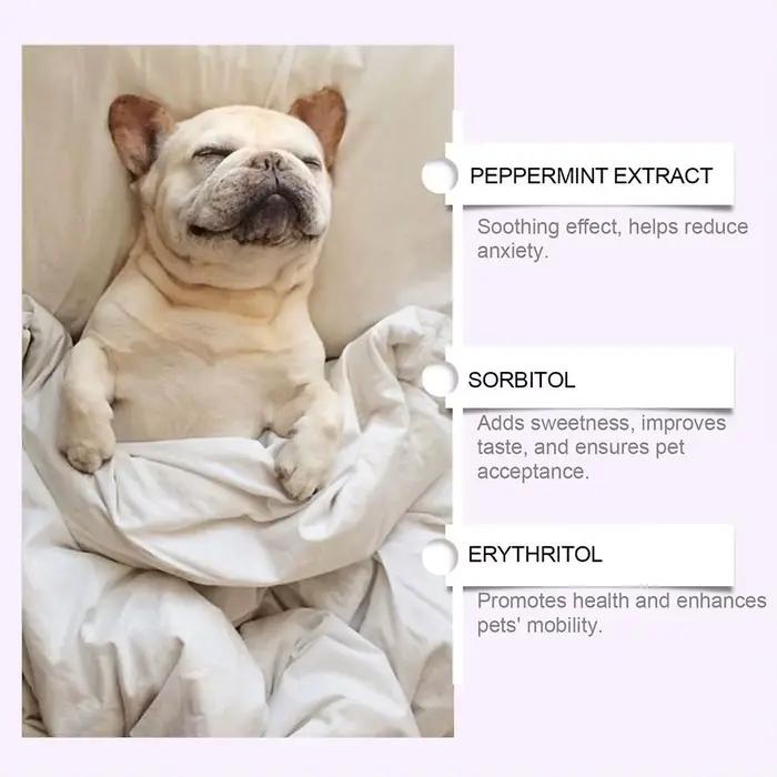 Gouttes de Soutien au Sommeil pour Chiens 60ml – Réduit l'Anxiété, Liquide Apaisant pour Animaux, Aide au Sommeil Douce et Naturelle à la Menthe pour Chiens, Soin de Sédation Nocturne
