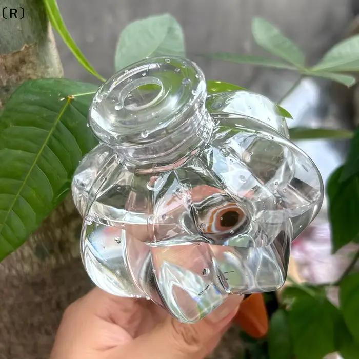 Dispositif d'arrosage automatique transparent en forme de lanterne pour plantes en pot