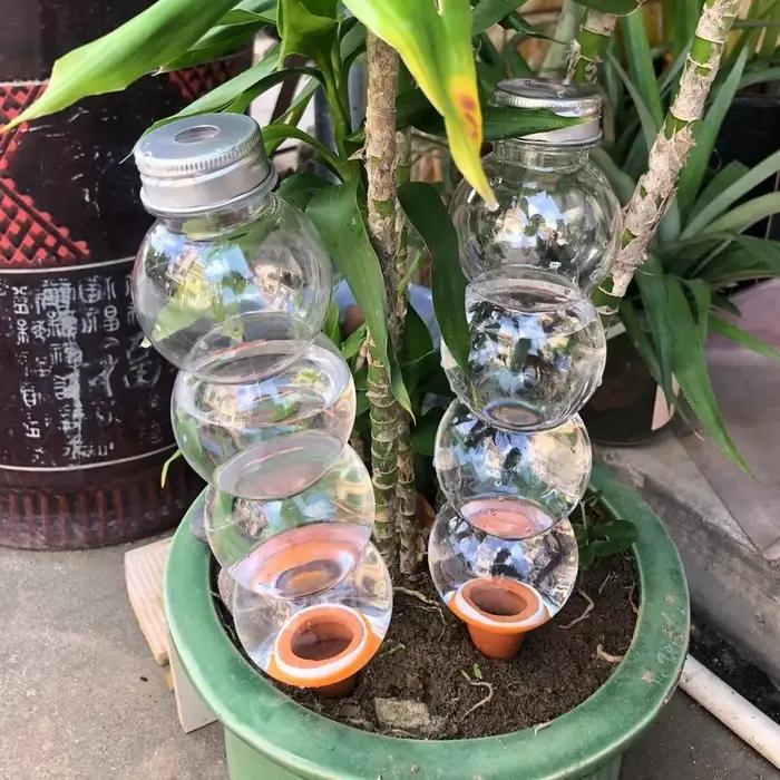 Insert de bouteille d'irrigation goutte à goutte pour pot auto-arrosant