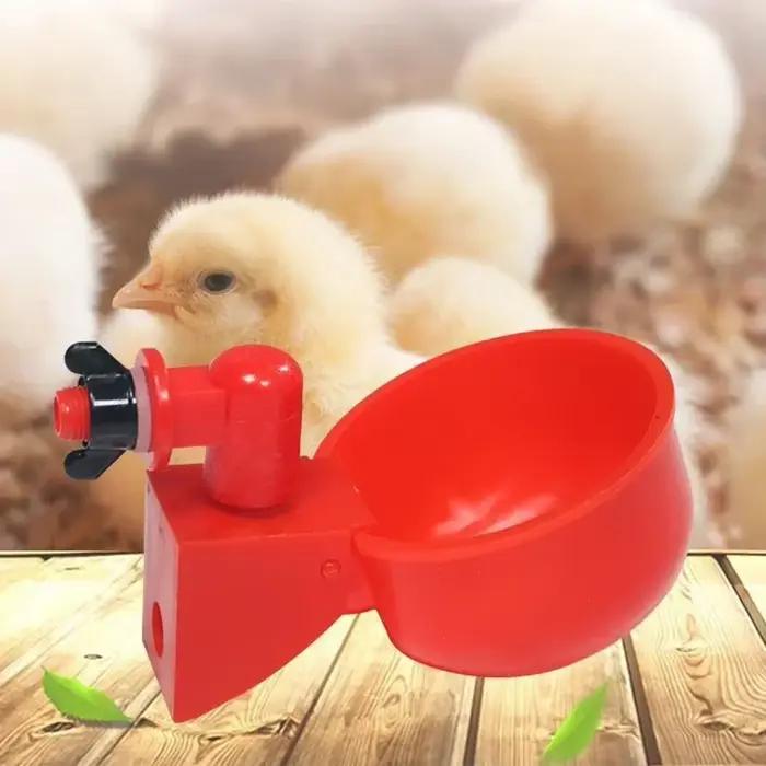 Distributeur d'eau automatique Anti-Pollution et autonettoyant pour volaille