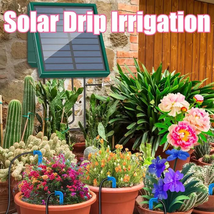 Système d'irrigation solaire