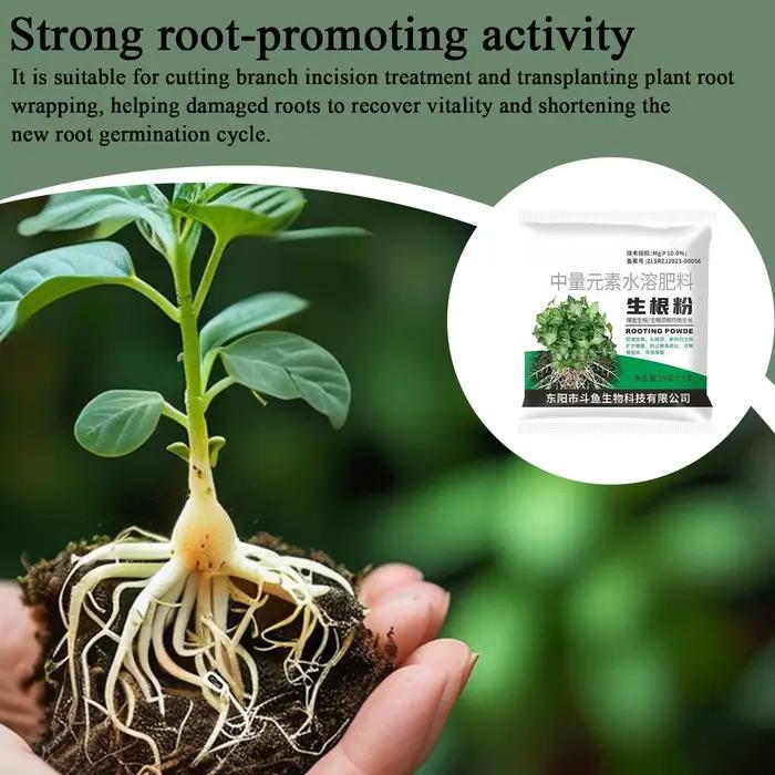Poudre d'enracinement 1 sac – Stimulateur de croissance des racines pour plantes