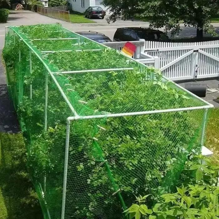 Filet de jardin vert en maille tissée pour protéger les plantes