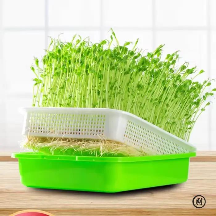 Plateau de germination hydroponique sans terre – 1