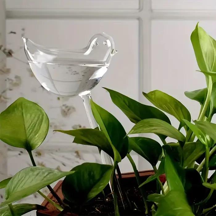 Arrosage automatique des plantes