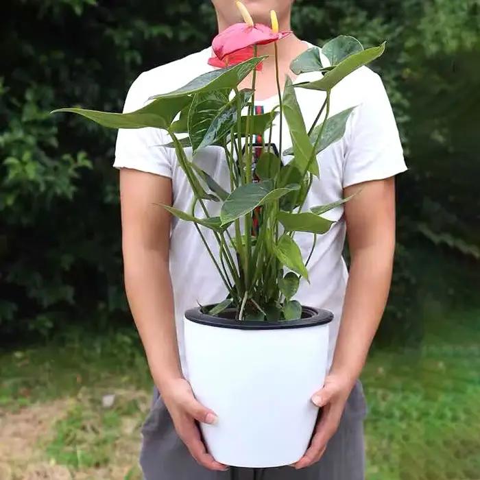 Pot auto-arrosant, pots à eau automatiques pour plantes