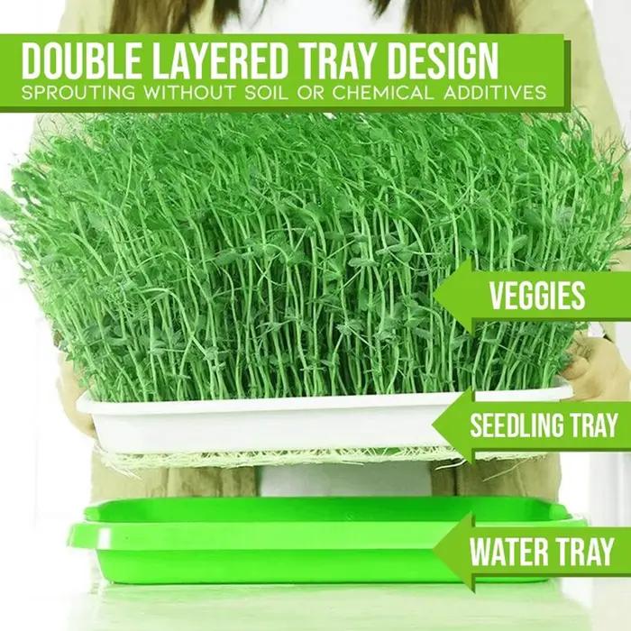 Microgreens plateau de germination hydroponique/plateau