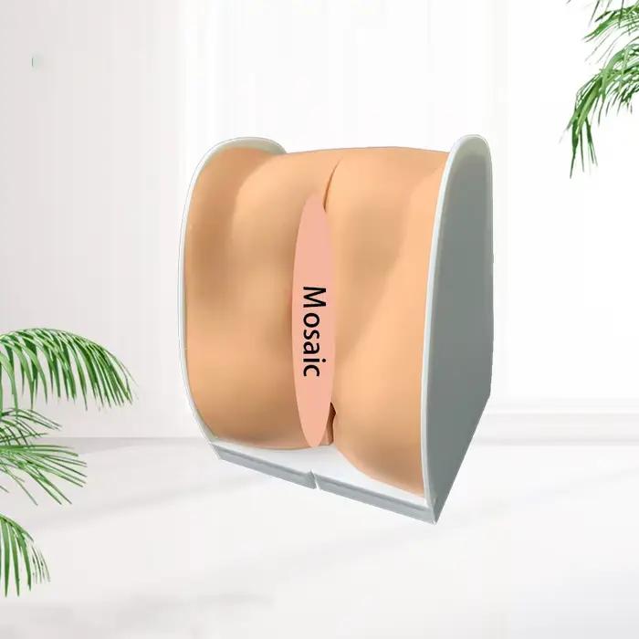 Modèle d'instructions d'installation de dispositif contraceptif féminin, organe reproducteur ovarien utérin, modèle anatomique, aides fuchsia