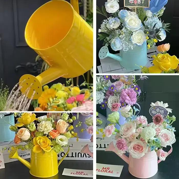 Arrosoir en métal pour jardin, mini-pulvérisateur d'eau de grande capacité pour enfants et adultes