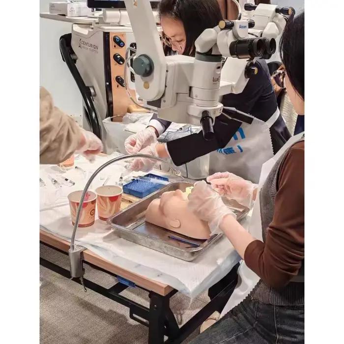 Modèle de simulation de tête pour la formation à la réparation capsulaire de la cataracte, simulateur oculaire pour la pratique de la chirurgie de la cataracte ophtalmique avec support