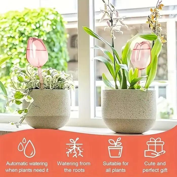 Dispositif d'arrosage pour tulipes 8/4/2/1PC