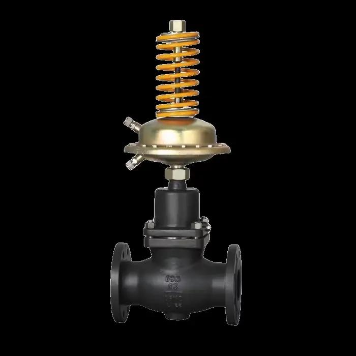 Vanne de régulation de pression auto-régulante en acier inoxydable pour applications de gaz.