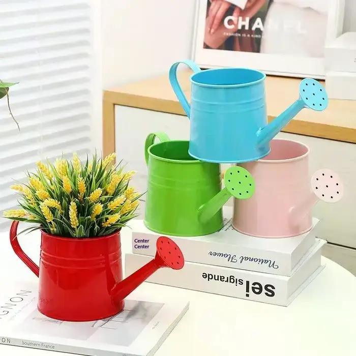 Arrosoir en métal pour jardin, mini-pulvérisateur d'eau de grande capacité pour enfants et adultes