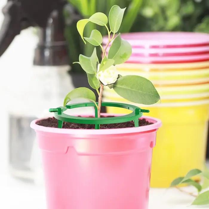 Anneaux d'irrigation pour plantes