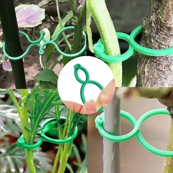 Clips de cerclage de vigne de jardin en plastique