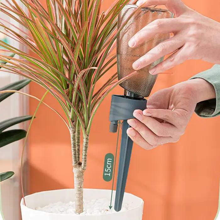 6 pièces plante distributeur d'eau automatique jardin dispositif