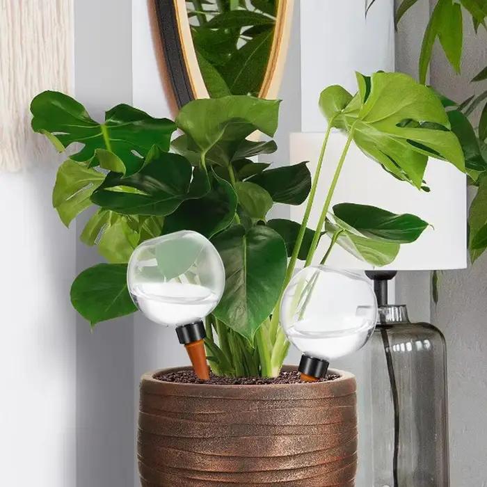 Globes d'arrosage pour plantes