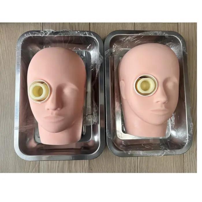 Modèle de simulation de tête pour la formation à la réparation capsulaire de la cataracte, simulateur oculaire pour la pratique de la chirurgie de la cataracte ophtalmique avec support