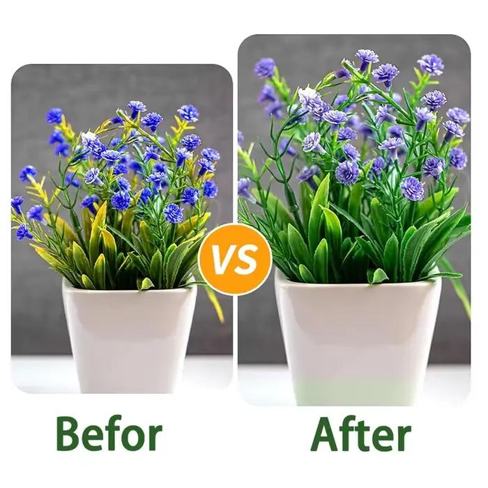 Barres nutritionnelles pour plantes