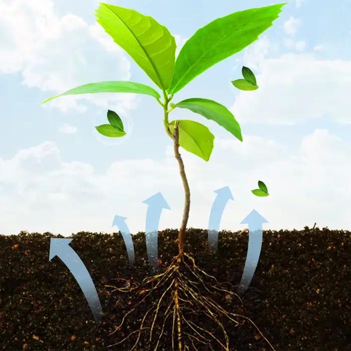 Poudre d'enracinement rapide pour plantes, stimuler la croissance des racines, faciliter la plantation et le transvasement, pour toutes sortes de plantes, d'intérieur et de jardin