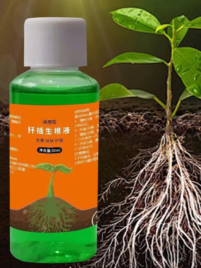 Solution d'enracinement pour roses liquide alimentée par algues pour le développement racinaire et la croissance des plantes occasions spéciales jardinage