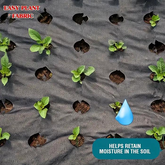 Toile de paillage noire avec trous de plantation