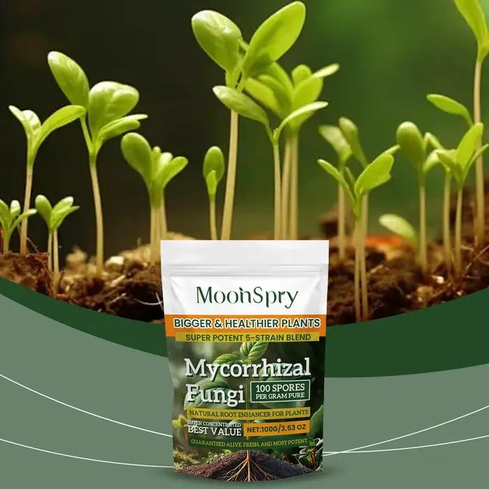 Poudre d'amélioration du système racinaire des plantes biologiques ; Complément nutritif pour les racines