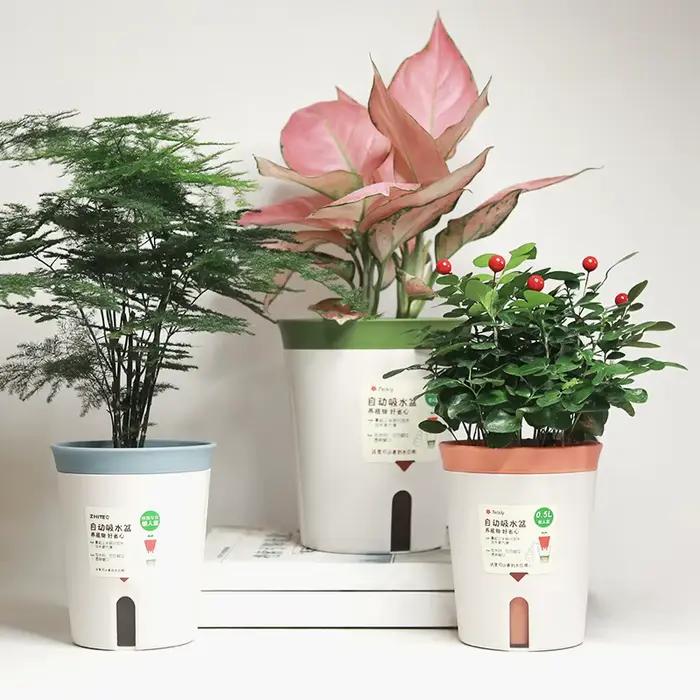 User inières rondes auto-arrosantes pour plantes d'intérieur et d'extérieur