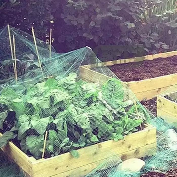 Filet de jardin vert en maille tissée pour protéger les plantes