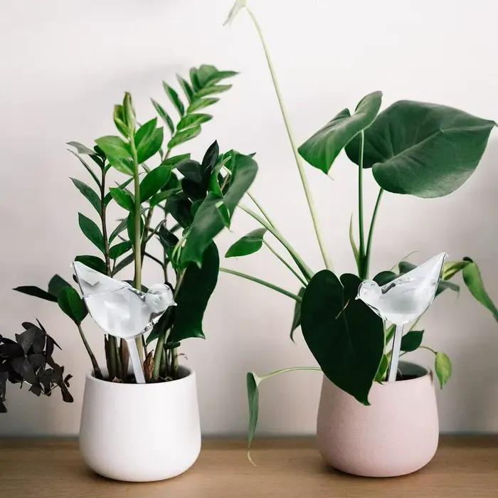 Boules d'arrosage automatiques pour plantes