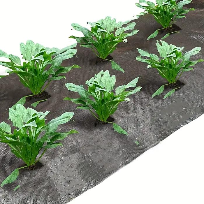 Toile de paillage noire avec trous de plantation