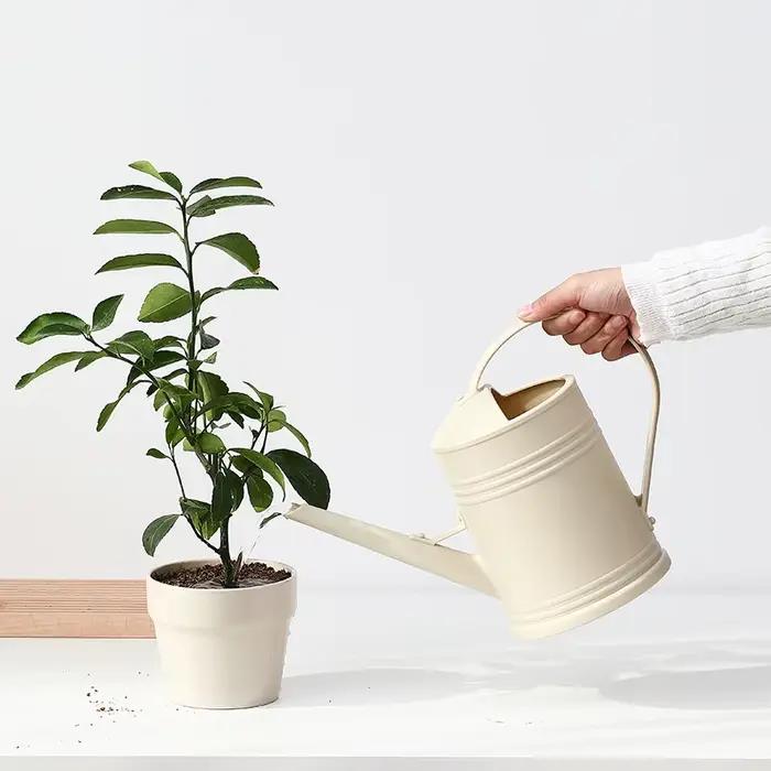 Arrosoir à long bec de 2 L pour fleurs
