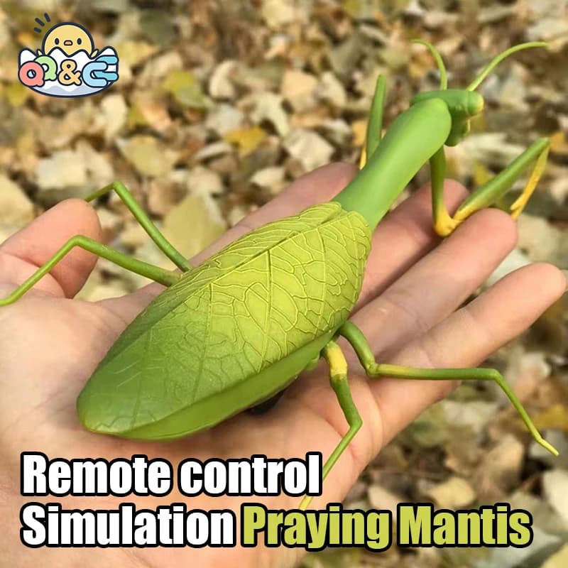 Robot Animal RC anti-stress, jouets d'insectes, Simulation infrarouge, araignée, abeille, mouche, ma