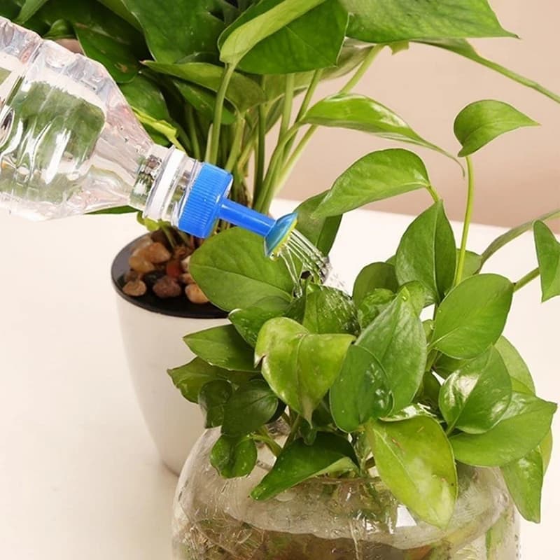 Bouteille d'arrosage de fleurs avec arrosoir