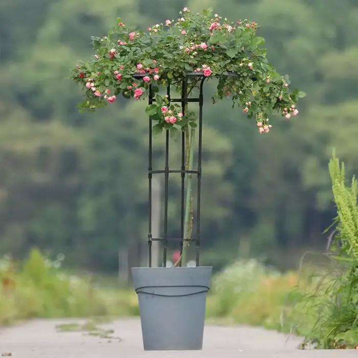 Treillis de Jardin pour Plantes Grimpantes, Tour Parapluie, Support DIY pour Pots de Fleurs