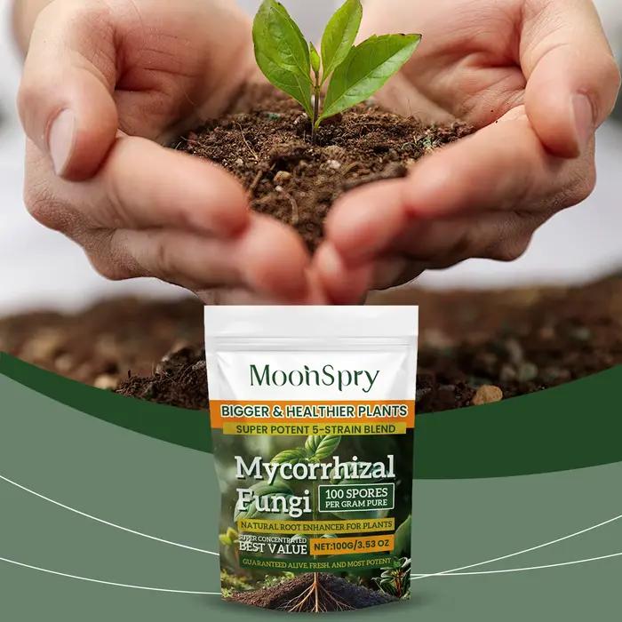 Poudre d'amélioration du système racinaire des plantes biologiques ; Complément nutritif pour les ra