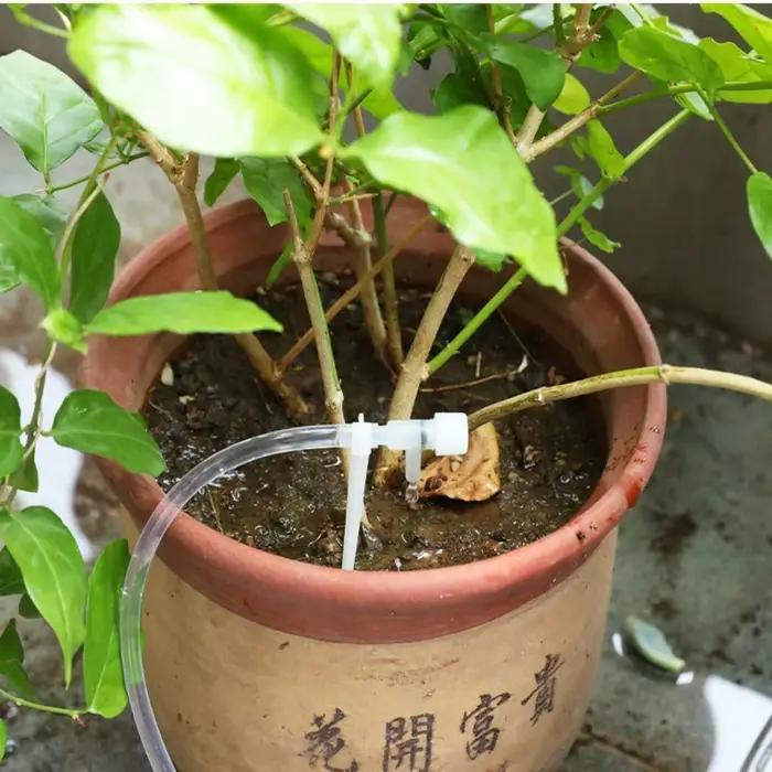 Kit d'irrigation goutte à goutte pour serre et jardin