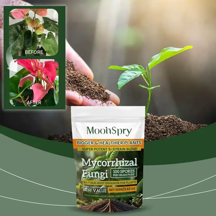 Poudre d'amélioration du système racinaire des plantes biologiques ; Complément nutritif pour les racines