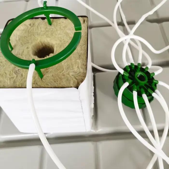 Nouvel Anneau d'irrigation goutte à goutte pour plantes