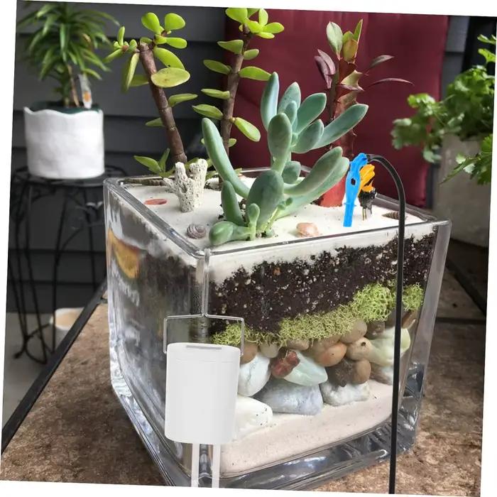 Pompe d'arrosage automatique pour plantes et fleurs