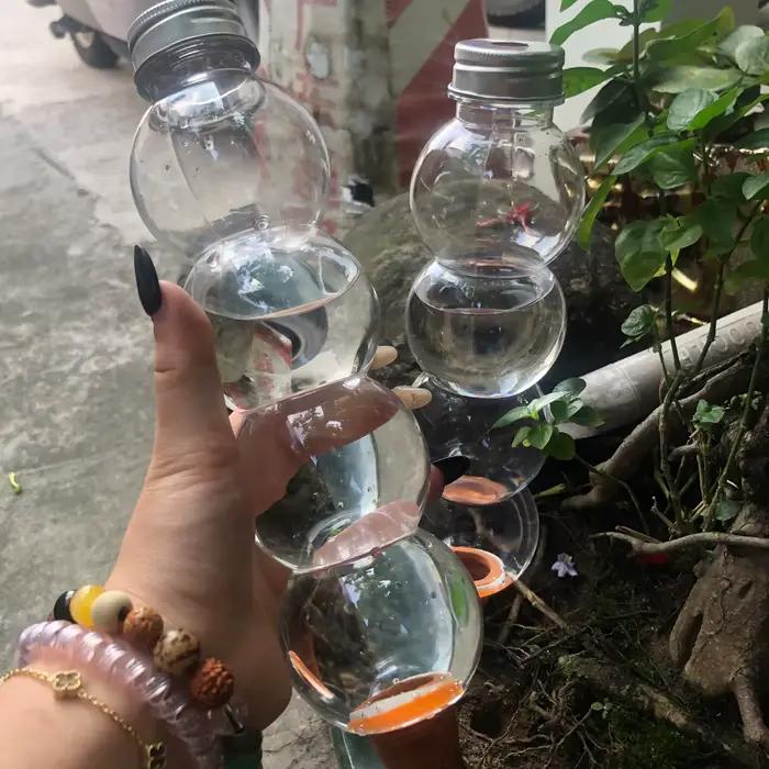 Système d'arrosage automatique pour plantes