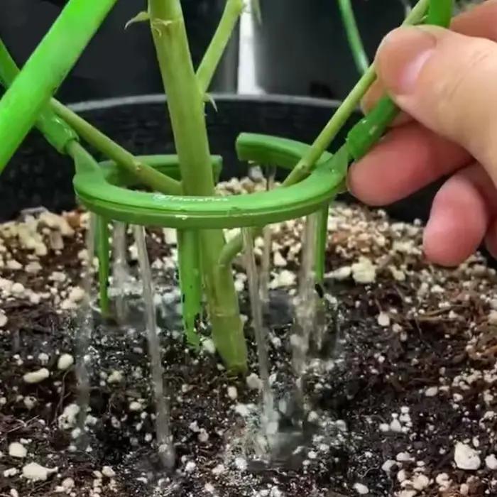 Anneau d'irrigation goutte à goutte pour plantes