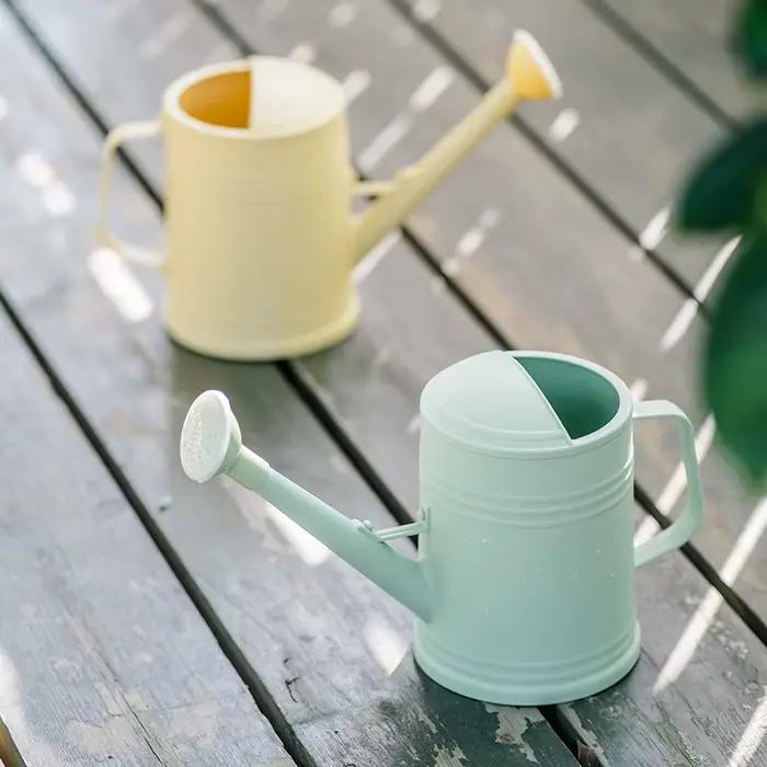 Arrosoir à longue bouche de 2l