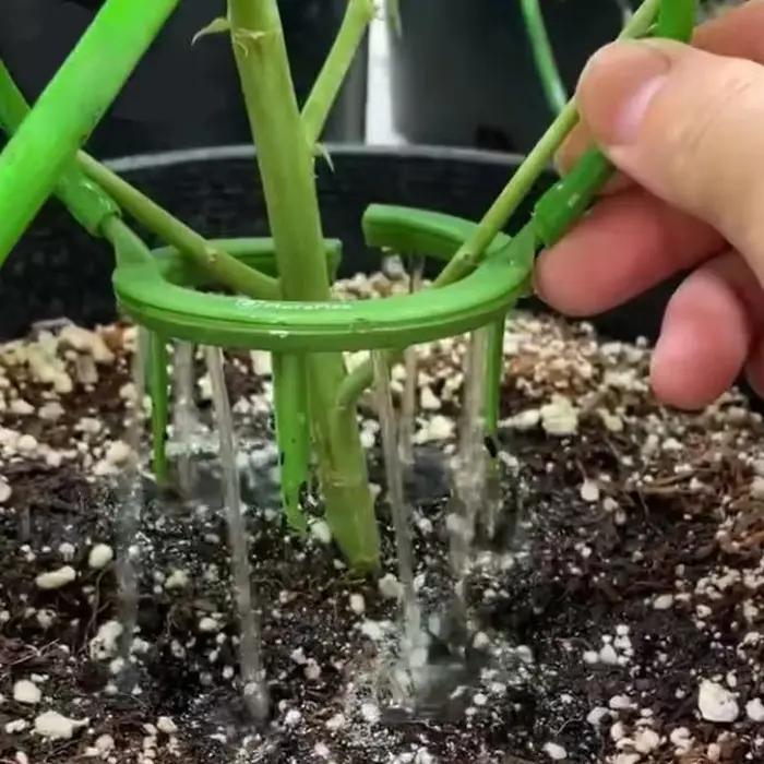 Nouvel Anneau d'irrigation goutte à goutte pour plantes