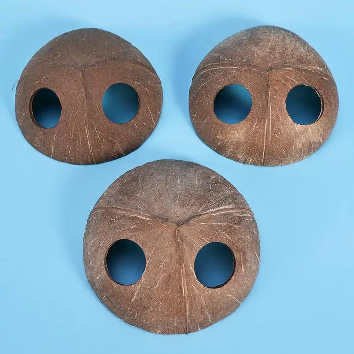 Caverne Naturelle Double Entrée Faite à la Main pour Reptiles : Cachette Décorative pour Tarantules, Caméléons, Gécoques et Petits Animaux Terrestres