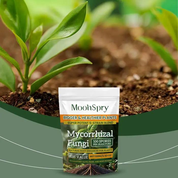 Poudre d'amélioration du système racinaire des plantes biologiques ; Complément nutritif pour les racines