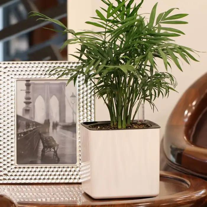Jardinière blanche à arrosage automatique, indicateur d'eau, Pot de jardinière décoratif moderne pou