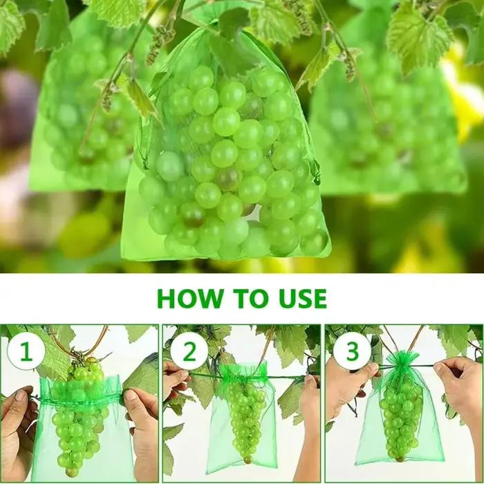 50/100 pièces Sacs de protection pour fruits avec cordon de serrage, sacs en filet anti-parasites po